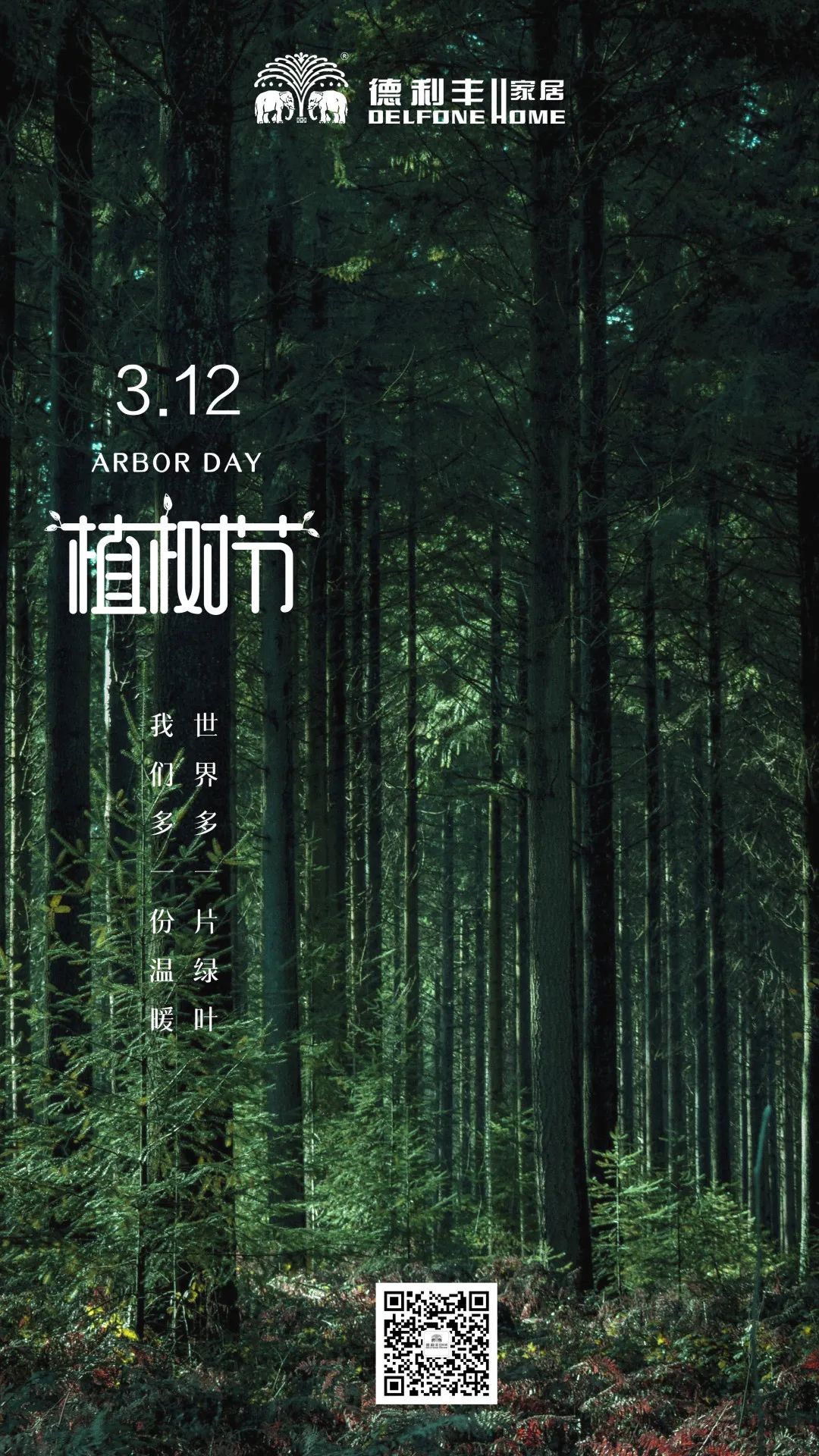 【3.12植树节】|| 木纹系列——把自然气息带回家(图2)