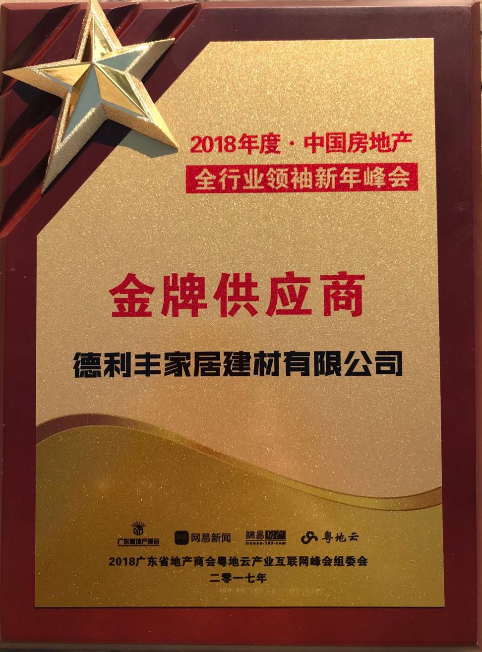 “聚焦商机 共享财富”德利丰家居湖南营运中心(图9)
