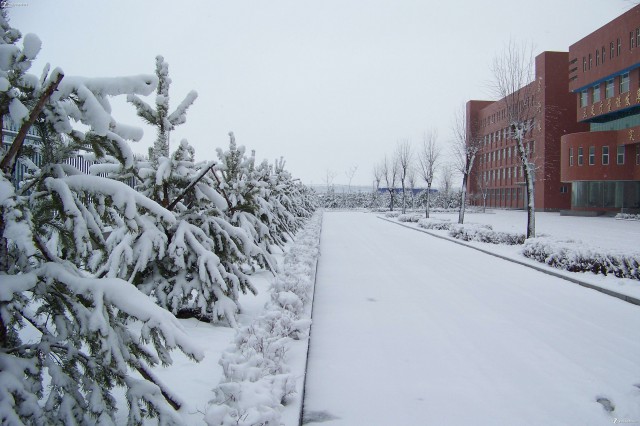 大雪入冬,这边却刮起了“火热风暴”(图3) 大雪入冬,这边却刮起了“火热风暴”(图3)