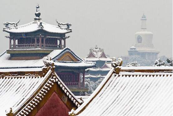 新品品鉴|东方傲雪 以雪为墨,绘就一抹遗世独(图5) 新品品鉴|东方傲雪 以雪为墨,绘就一抹遗世独(图5)