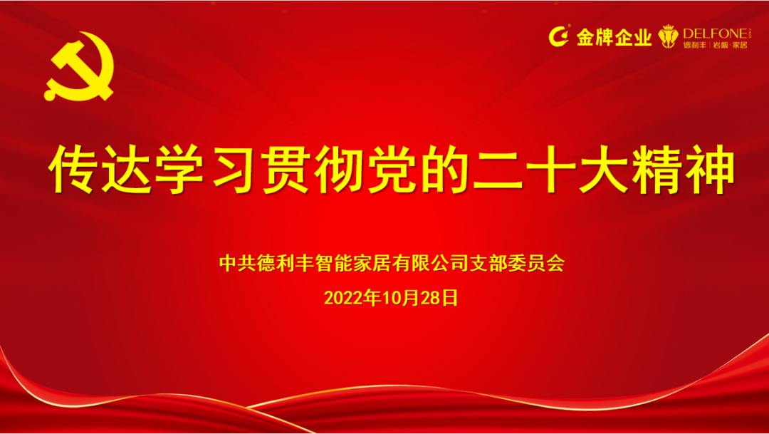 德利丰党支部传达学习贯彻党的二十大精神